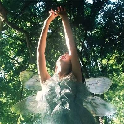 马科斯·特里默的沉默